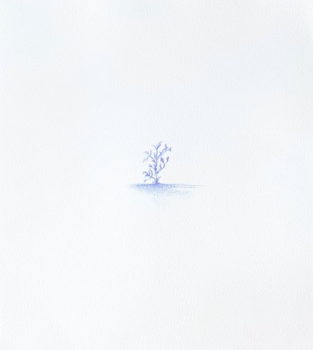 Tree Branch