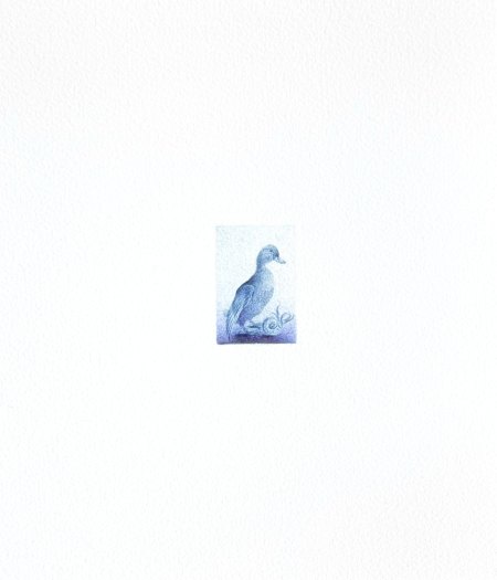 Mallard